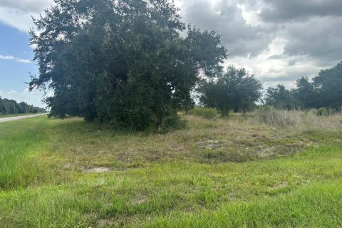 Commercial property in Okeechobee, Florida № 2177069