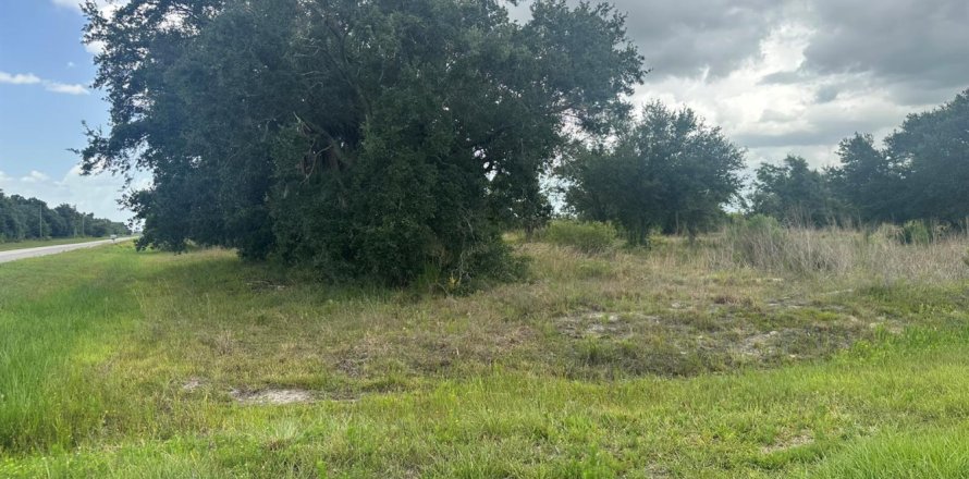 Commercial property in Okeechobee, Florida № 2177069