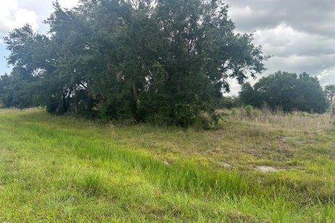 Commercial property in Okeechobee, Florida № 2177069 - photo 3