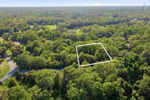 Land in Crystal River, Florida № 2275652