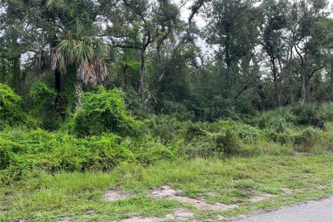 Land in Port Charlotte, Florida № 2163132