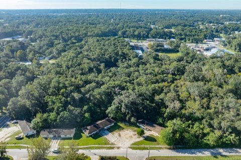 Commercial property in Ocala, Florida 12 bedrooms, 438.87 sq.m. № 2425403 - photo 9