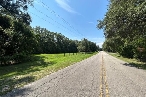 Terreno en venta en Newberry, Florida № 2205206 - foto 11