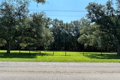 Land in Newberry, Florida № 2205206