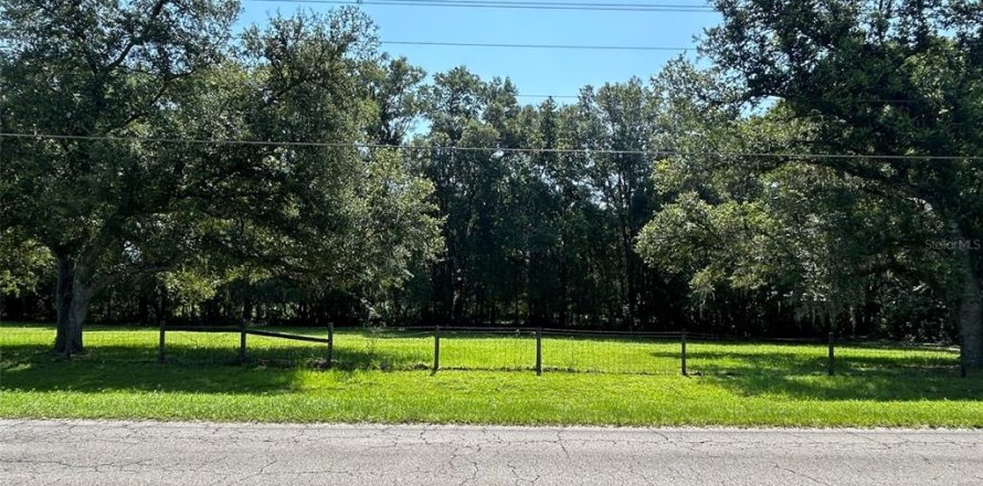 Terreno en Newberry, Florida № 2205206