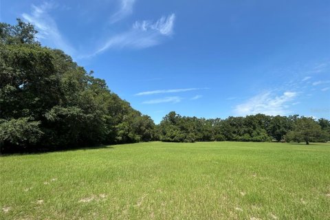 Terreno en venta en Newberry, Florida № 2205206 - foto 19