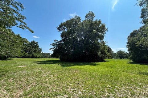 Terreno en venta en Newberry, Florida № 2205206 - foto 14
