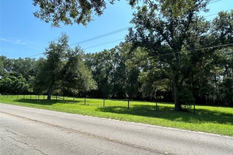 Terreno en venta en Newberry, Florida № 2205206 - foto 5