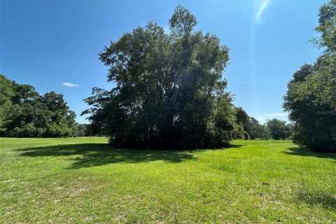 Terreno en venta en Newberry, Florida № 2205206 - foto 13