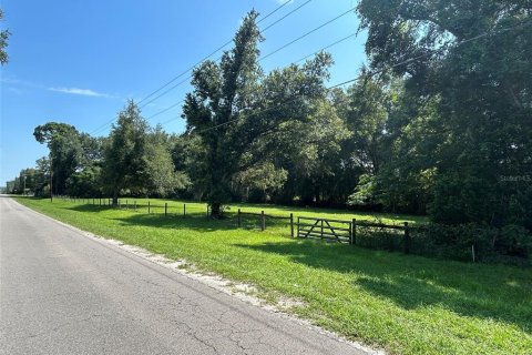 Terreno en venta en Newberry, Florida № 2205206 - foto 4