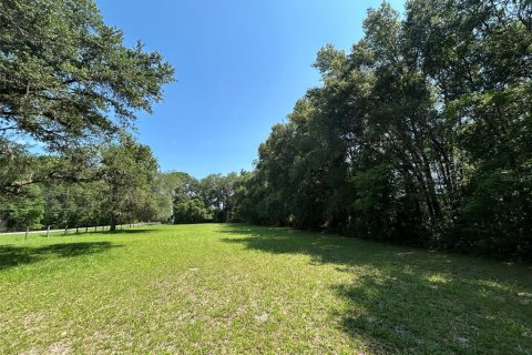 Terreno en venta en Newberry, Florida № 2205206 - foto 12