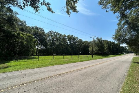 Terreno en venta en Newberry, Florida № 2205206 - foto 8