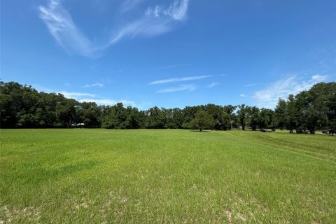 Terreno en venta en Newberry, Florida № 2205206 - foto 21