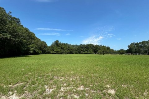 Terreno en venta en Newberry, Florida № 2205206 - foto 16