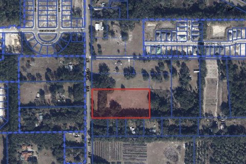 Terreno en venta en Newberry, Florida № 2205206 - foto 2