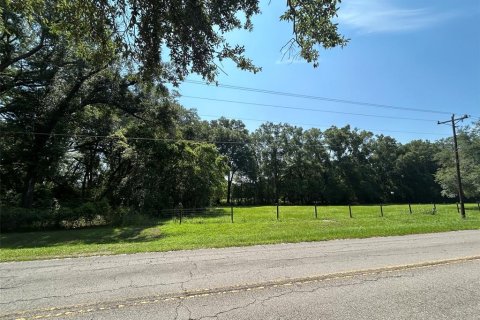 Terreno en venta en Newberry, Florida № 2205206 - foto 9