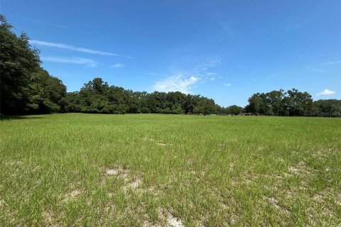 Terreno en venta en Newberry, Florida № 2205206 - foto 17