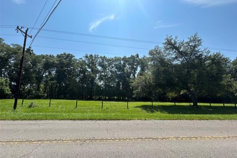 Terreno en venta en Newberry, Florida № 2205206 - foto 7
