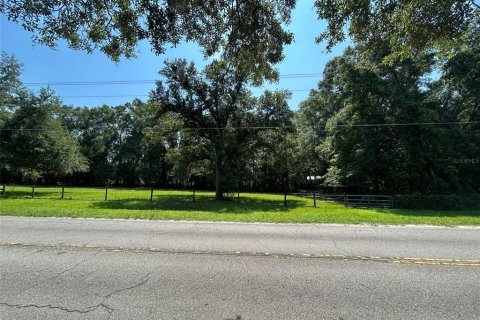 Terreno en venta en Newberry, Florida № 2205206 - foto 3
