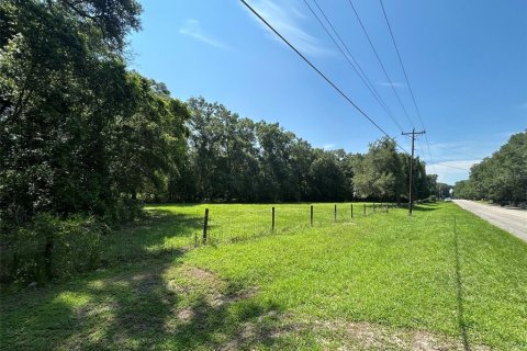 Terreno en venta en Newberry, Florida № 2205206 - foto 10