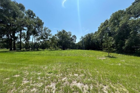 Terreno en venta en Newberry, Florida № 2205206 - foto 18