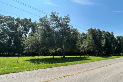 Terreno en venta en Newberry, Florida № 2205206 - foto 6