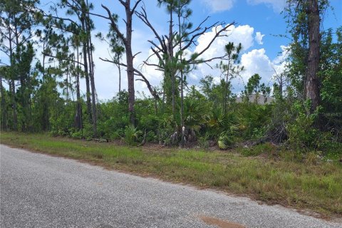 Land in Port Charlotte, Florida № 2202827 - photo 5