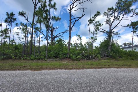 Land in Port Charlotte, Florida № 2202827 - photo 4