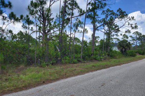 Land in Port Charlotte, Florida № 2202827 - photo 3