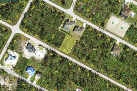 Land in Port Charlotte, Florida № 2202827 - photo 2