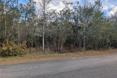 Land in Indian lake estates, Florida № 2214580 - photo 6