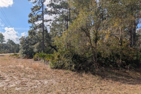 Land in Indian lake estates, Florida № 2214580 - photo 4