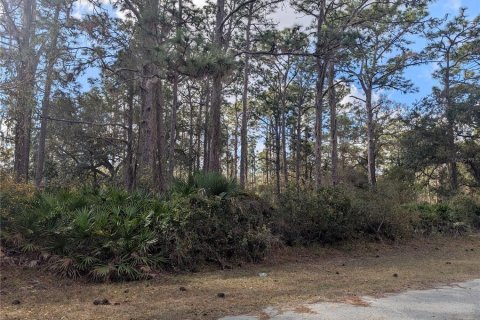 Land in Indian lake estates, Florida № 2214580 - photo 2