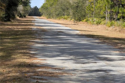 Land in Indian lake estates, Florida № 2214580 - photo 3