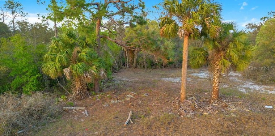Terrain à Poinciana, Floride № 1680244