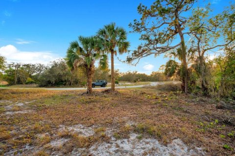 Terrain à vendre à Poinciana, Floride № 1680244 - photo 6