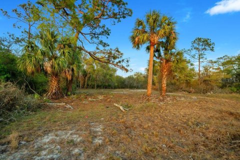 Terrain à vendre à Poinciana, Floride № 1680244 - photo 5