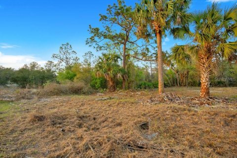 Terrain à vendre à Poinciana, Floride № 1680244 - photo 4