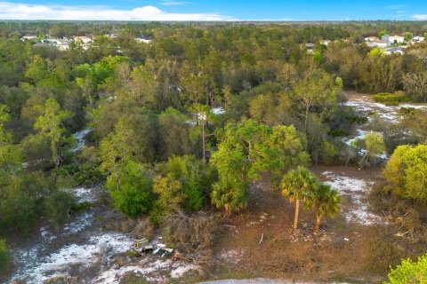 Terrain à vendre à Poinciana, Floride № 1680244 - photo 15
