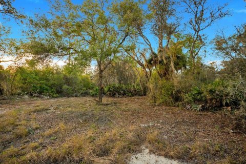 Terrain à vendre à Poinciana, Floride № 1680244 - photo 7