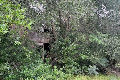 Villa ou maison à vendre à Williston, Floride: 4 chambres, 266.16 m2 № 1824900 - photo 22