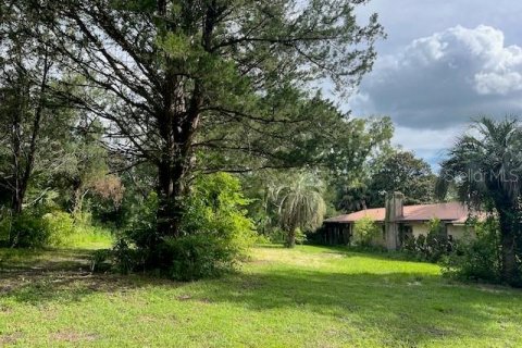 Villa ou maison à vendre à Williston, Floride: 4 chambres, 266.16 m2 № 1824900 - photo 4