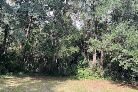Villa ou maison à vendre à Williston, Floride: 4 chambres, 266.16 m2 № 1824900 - photo 7