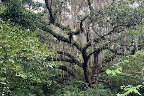 Villa ou maison à vendre à Williston, Floride: 4 chambres, 266.16 m2 № 1824900 - photo 8