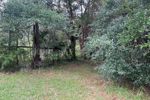 Villa ou maison à vendre à Williston, Floride: 4 chambres, 266.16 m2 № 1824900 - photo 20