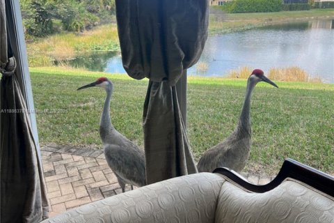 Villa ou maison à louer à West Palm Beach, Floride: 5 chambres, 362.69 m2 № 1933272 - photo 21