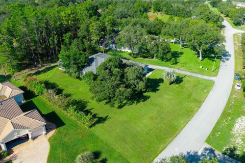 Casa en venta en Weeki Wachee, Florida, 3 dormitorios, 239.32 m2 № 1894720 - foto 8