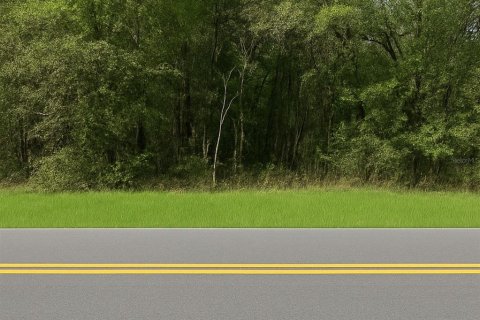 Land in Dunnellon, Florida № 2163437