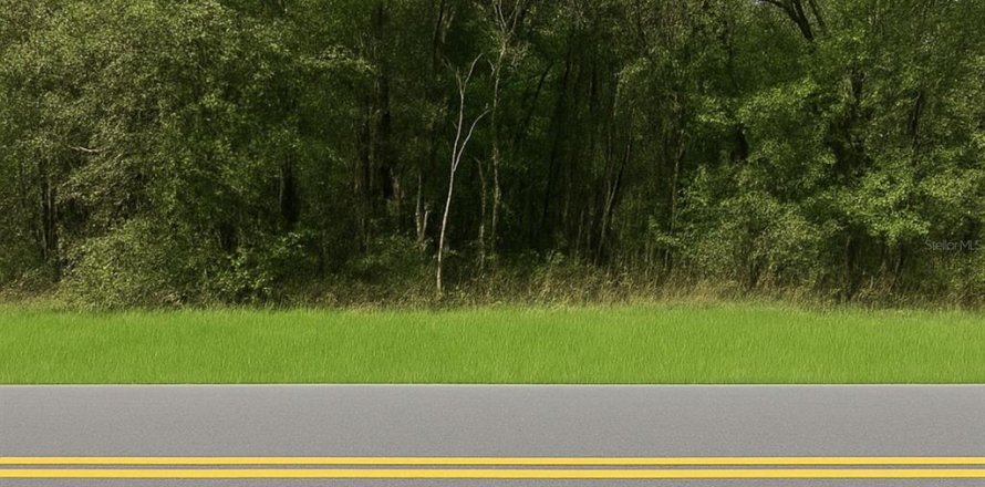 Land in Dunnellon, Florida № 2163437