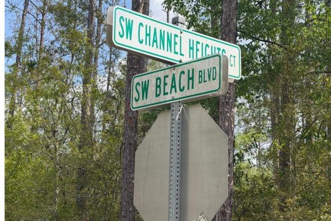 Land in Dunnellon, Florida № 2163437 - photo 3